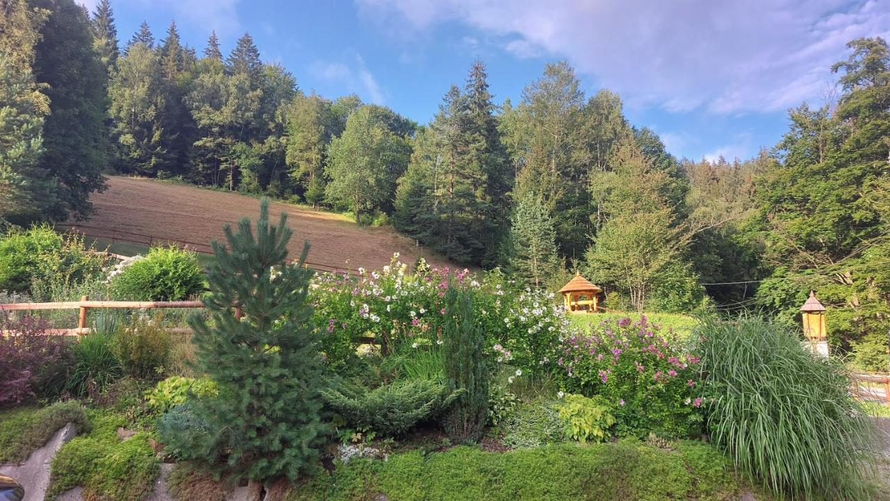 Hotel U Veselé lišky à Hutisko Extérieur photo