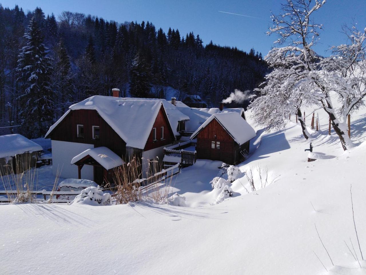 Hotel U Veselé lišky à Hutisko Extérieur photo